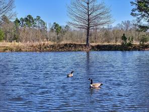 State Highway 64, Ben Wheeler, Texas 75754, HOA KỲ