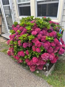 240 Carpenters Beach Road, South Kingstown, רוד איילנד 02879, ארצות הברית של אמריקה