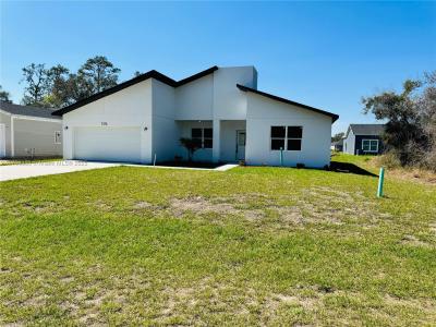 1314 CONGO CT, Other City - In The State Of Florida, Florida 34759, USA
