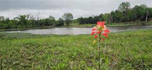 220 Private Road 6531, Der Kanton, Texas 75103, USA