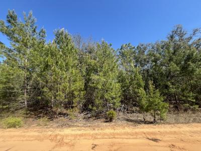 Tbd Shappell Avenue, Interlachen, Florida 32148, USA