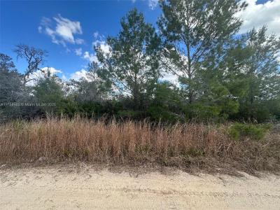 123 DARTMOOR AVE, Lake Placid, Florida 33852, USA