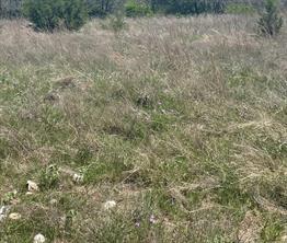 W 325 Fm 1566, Wolfe City, Texas 75496, Stati Uniti