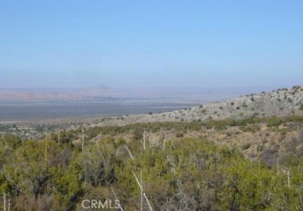 E Avenue Z2/118 Ste, Juniper Hills, 加州 93543, 美國