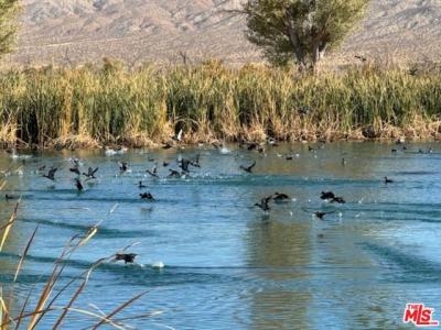 Munsey Road, California City, California 93519