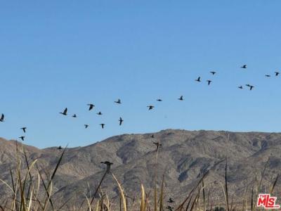 Munsey Road, California City, California 93519