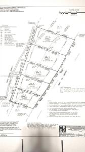 290 gulf shore drive, Carrabelle, Florida 32322, USA