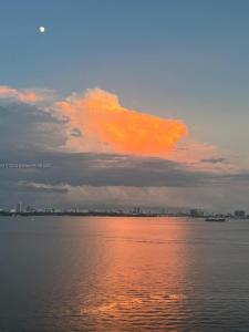 11111 Biscayne Blvd 11D, Miami, Florida 33181, USA