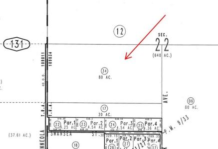 Minneola Rd, Newberry Springs, Californie 92365, États-Unis