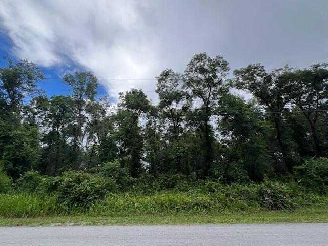 3307 E Lee Drive, Inverness, Florida 34453