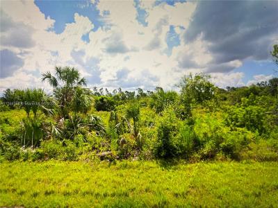 2296 Drennon, Port Charlotte, Florida 33953, USA