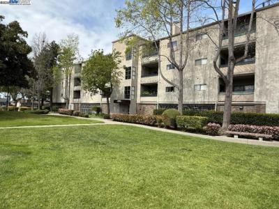 Kay Ave, Hayward, 加州 94545, 美國