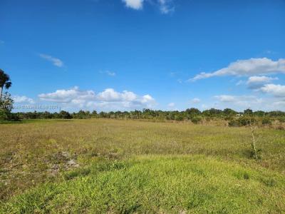 18717 NW 258 st, Okeechobee, Florida 34972, USA