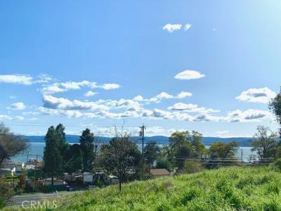 E State Hwy 20, ניס, קליפורניה 95464, ארצות הברית של אמריקה 