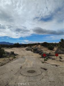 Oxford Avenue, Hesperia, California 92345, HOA KỲ