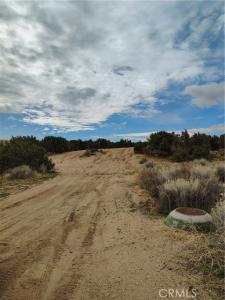 Oxford Avenue, Hesperia, California 92345, HOA KỲ
