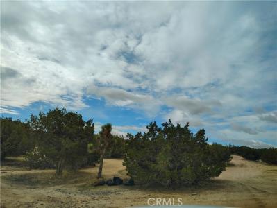 Oxford Avenue, Hesperia, California 92345, HOA KỲ