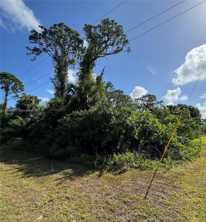 453 LAMPION AVENUE S, Lehigh Acres, Floride 33974, États-Unis