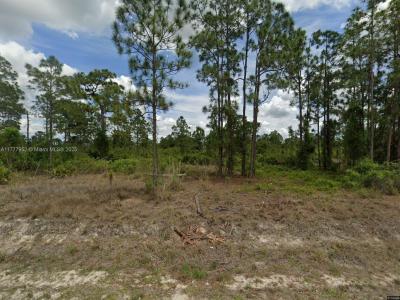 414 Abbott, Lehigh Acres, Florida 33972, USA