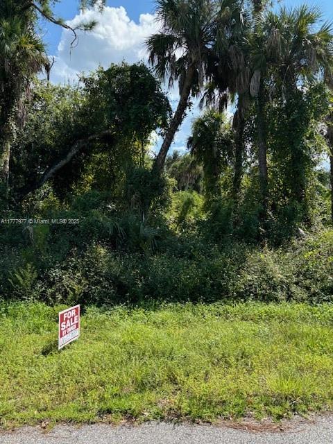 17081 FALLKIRK AVE, Other City - In The State Of Florida, Florida 33954, Stati Uniti