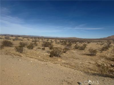 Beechwood, Oro Grande, 加州 92368, 美國