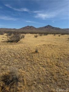 Chiffon Street, Oro Grande, 加州 92368, 美國