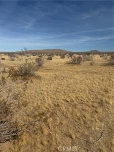 Chambray Street, Oro Grande, 加州 92368, 美國