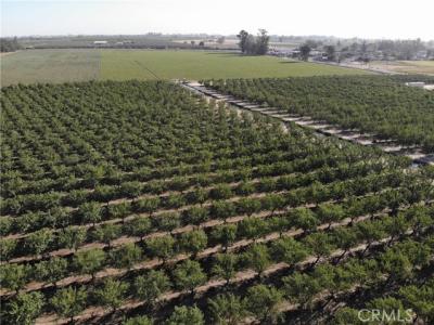 Trindade Road, Atwater, Californie 95301, États-Unis