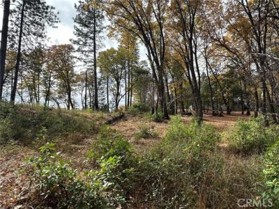 Bunker Hill Mine Rd, Yankee Hill, كاليفورنيا 95965, الولايات المتحدة