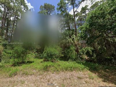 17344 Orion Ave, Other City - In The State Of Florida, Florida 33954, USA