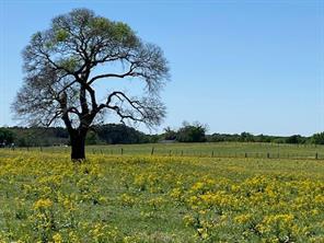 FM 607, Larue, Texas 75770, Estados Unidos