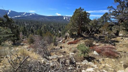 Pegasus Way, Big Bear, California 92315, Estados Unidos