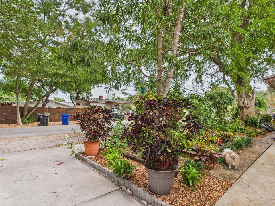 1901 SW 11th St, Fort Lauderdale, 佛罗里达州 33312, 美国