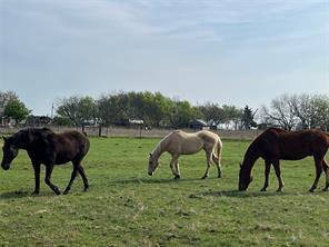 4605 County Road 4511, Commerce, Texas 75428, Stati Uniti