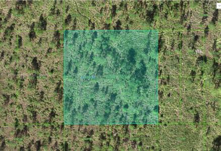 022090 Parcel ID, Frostproof, Florida 33843, USA