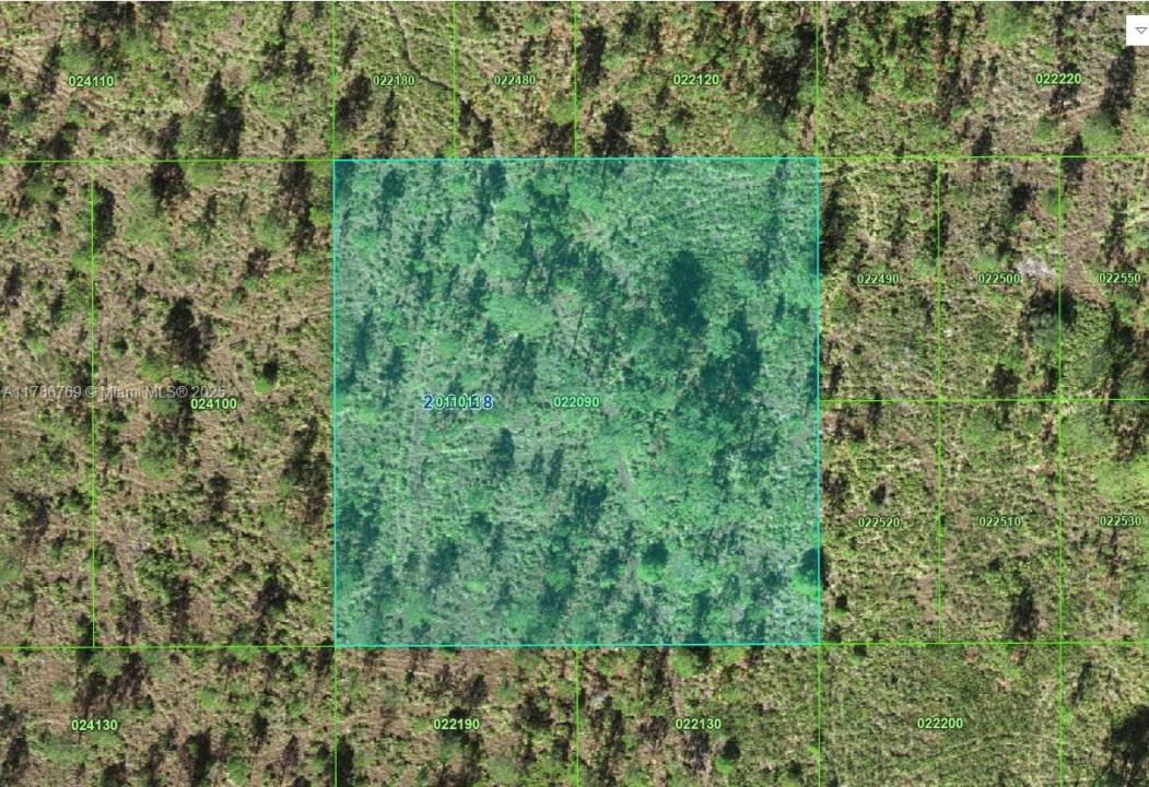 022090 Parcel ID, Frostproof, Florida 33843, USA