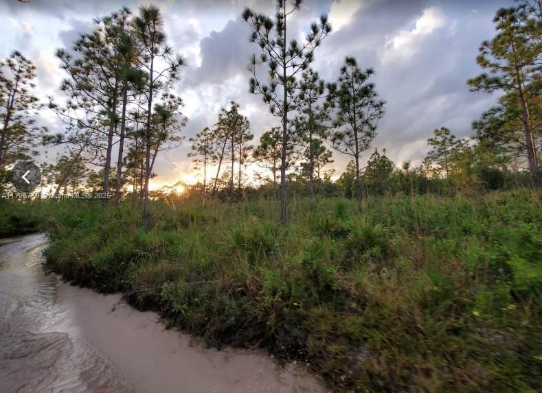 022090 Parcel ID, Frostproof, Florida 33843, USA