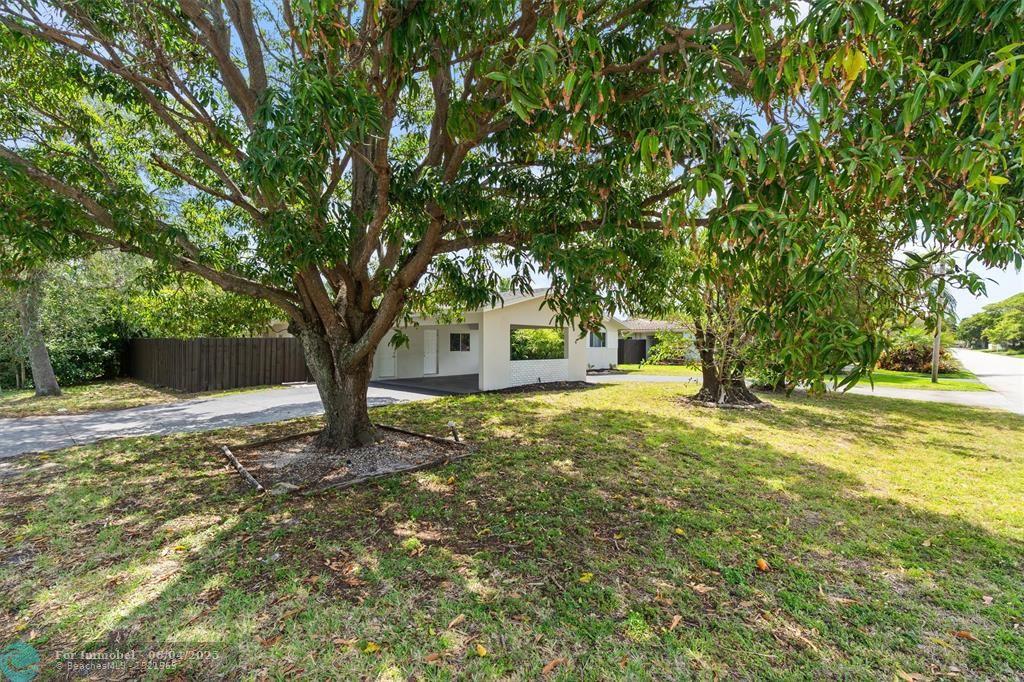 4460 NE 13th Ter, Oakland Park, Florida 33334