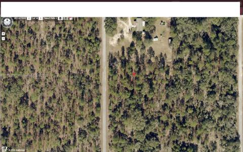 SW Viola Ct, Other City - In The State Of Florida, Florida 34431, USA