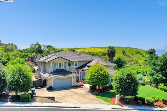 Avalon Heights Ter, Fremont, California 94539, Stati Uniti