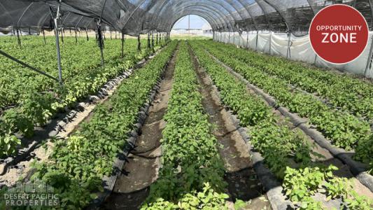 Harrison St, Thermal, 캘리포니아 92274, 미국