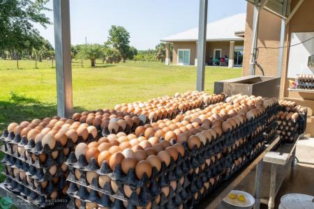 21810 NW 270th St, Okeechobee, フロリダ 34972, アメリカ合衆国
