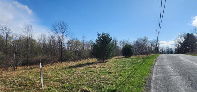 Budd Road, Fallsburg, New York 12788, USA