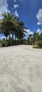 Boynton Beach, Florida 33472