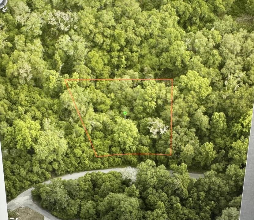 6761 E Dogwood Hammock Drive, Inverness, Florida 34453