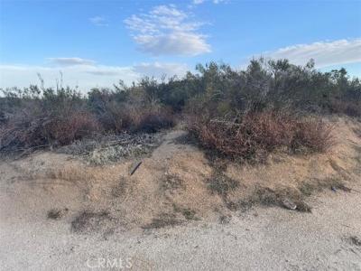Springbrook Trail, Anza, California 92539
