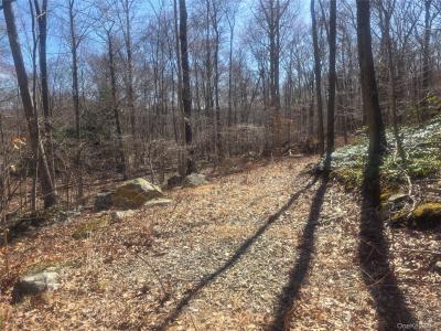 South Road, Pawling, Нью-Йорк 12531, Соединенные Штаты