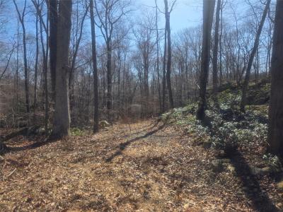 South Road, Pawling, Nova Iorque 12531, Estados Unidos