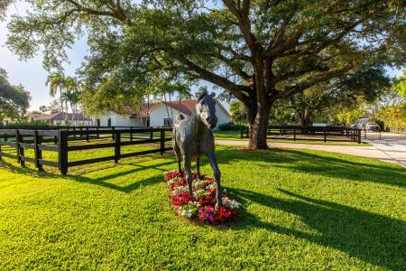 14828 Rolling Rock Place, Wellington, Floride 33414, États-Unis