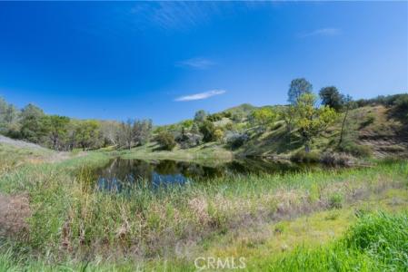 AV Ranch Road, King City, California 93928, Estados Unidos